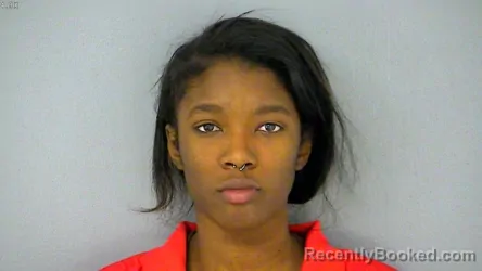 Mugshot of BREONNA DANISE GRAY booked in James City County, Virginia on June 3, 2026
