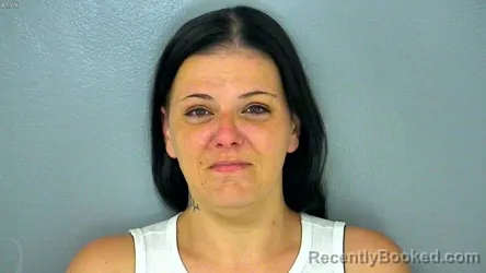 Mugshot of BRANDI KAY MICHELLE WILLIAMS booked in James City County, Virginia on July 30, 2026