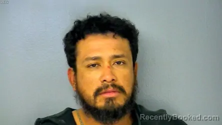 Mugshot of Camilyn Yulian Avila Mejia booked in James City County, Virginia on October 15, 2026