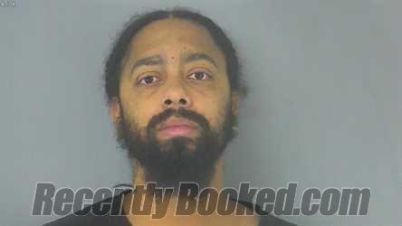 Booking photo from James City County, Virginia