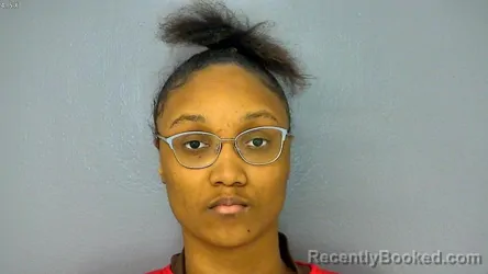 Booking photo from James City County, Virginia