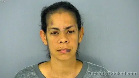 Mugshot of DANIELLE MARIE NICHOLL booked in James City County, Virginia on June 19, 2026