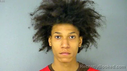 Mugshot of DEVONTI GREGORY PETTAWAY booked in James City County, Virginia on April 3, 2026