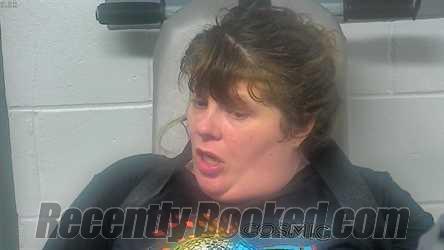 Booking photo from James City County, Virginia