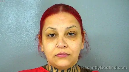 Mugshot of JAHAIRA LEE LENA booked in James City County, Virginia on May 18, 2026