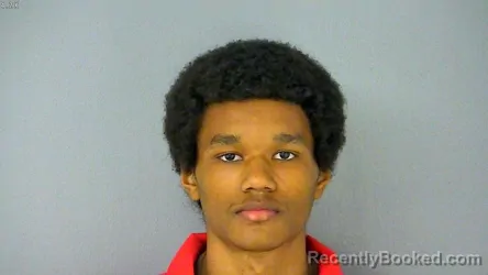 Mugshot of KENYON MICHEL