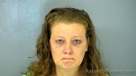 Mugshot of MELISSA ANN SMITH booked in James City County, Virginia on June 25, 2026