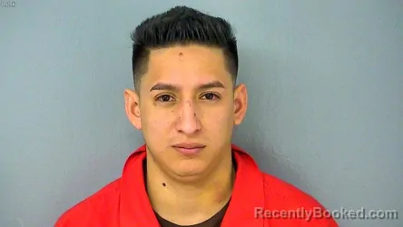 Mugshot of NIXON JOEL LUCAS SILVA