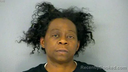 Mugshot of Shelitha Denise Akrie booked in James City County, Virginia on August 27, 2026