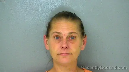 Mugshot of SHANDA PARKS WAY booked in James City County, Virginia on April 23, 2026