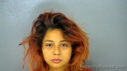 Mugshot of Soma Ya booked in James City County, Virginia on August 15, 2026