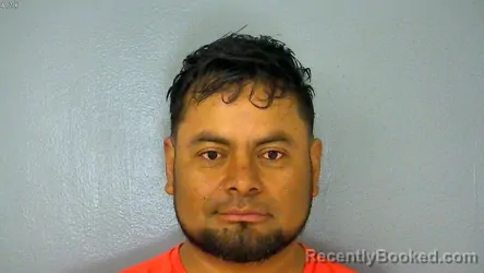 Mugshot of TOMAS CALIXTO ORTEGA
