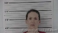 Mugshot of Christy Nicole English