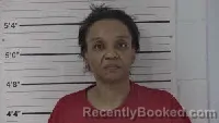 Mugshot of Vanessa Ann Johnson