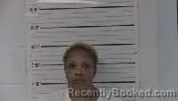 Mugshot of Michelle Lee