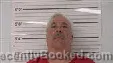Mugshot of Mark Anthony Roane booked in Middlesex County, Virginia on August 16, 2026