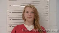 Mugshot of Sylvia Anne Ripchick