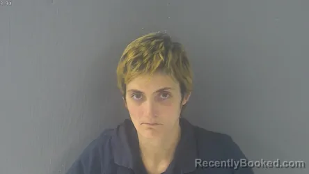 Mugshot of BRANDI NICOLE WILLIAMS
