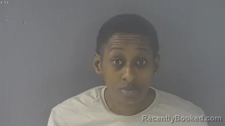 Mugshot of BRANDI NIKOUA GREEN