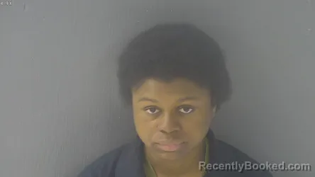 Mugshot of MELONEY LACHELLE MINTER