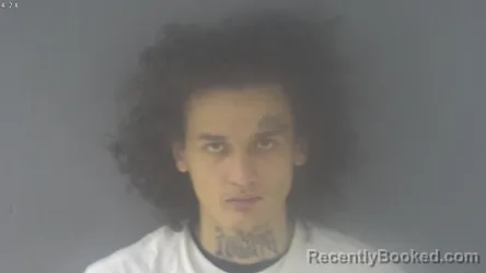 Mugshot of DAVID ROLAND TABORA- FUENTES