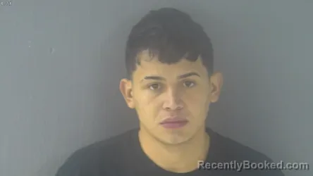Mugshot of ELVIN JOSUE BONILLA ARGUETA