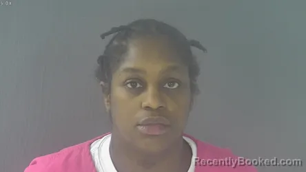 Mugshot of Jasmine Sade Stephens booked in New Kent County, Virginia on August 16, 2026