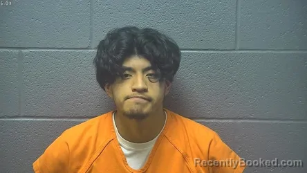 Mugshot of Arturo Nmn Perez-Castelan
