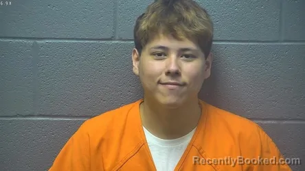 Mugshot of NATHANIEL WOONG PAIK