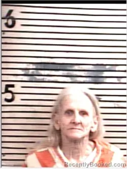 Mugshot of SHEILA ANN WALKER