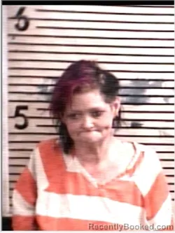 Mugshot of CHRISTY M SANDERS