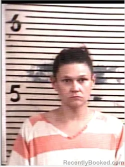 Mugshot of AMANDA L FAHRENKRUG