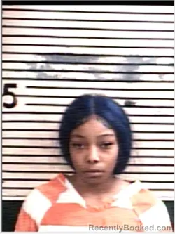 Mugshot of ARIANNA L JOHNSON booked in Holmes County, Florida on March 25, 2026