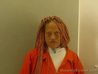 Mugshot of ALYCE MONIQUE LEE booked in Richmond County, Virginia on June 28, 2026