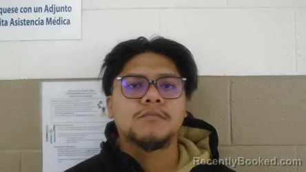 Mugshot of ALEXIS LEON ORTIZ