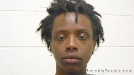 Mugshot of ANAJIA MICHELLE WILLIAMS booked in Richmond County, Virginia on March 30, 2026