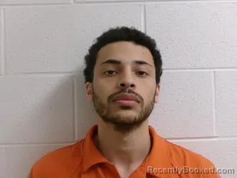 Mugshot of CORTE TERRELL BRAY