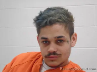 Mugshot of DOMINIQUE ACEVEDO NICHOLSON booked in Richmond County, Virginia on March 4, 2026