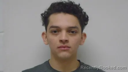 Mugshot of FRANKLIN L BENITEZ BENITEZ