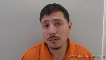 Mugshot of FERNANDO TORRES