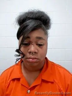 Mugshot of JOHNEISHA ELAINE SHELTON