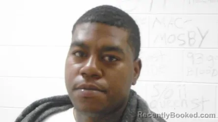 Mugshot of LARNELL LEMONT LIGHTFOOT