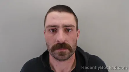 Mugshot of ROBERT ALLARD