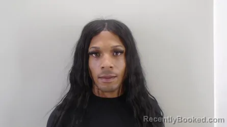 Mugshot of ROLAND SYLVESTER GAINES