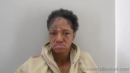 Mugshot of TIERRA EBONY LEWIS