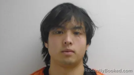 Mugshot of VINH GIA THAI