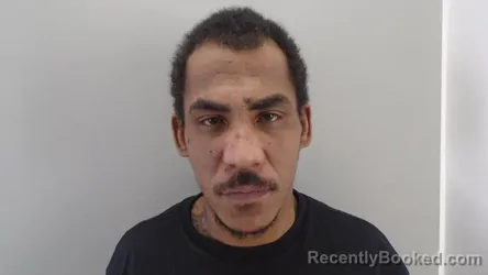 Mugshot of YOENDRIS PERDOMO MATURELL