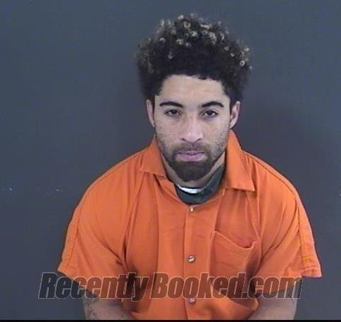 Booking photo from Roanoke County, Virginia