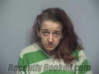 Booking photo from Roanoke County, Virginia