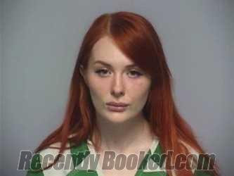Booking photo from Roanoke County, Virginia